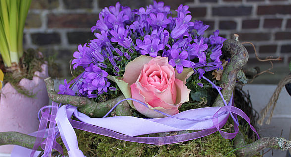 Blumen Hibbeler Zetel