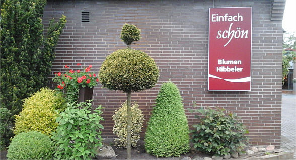 Blumen Hibbeler Zetel